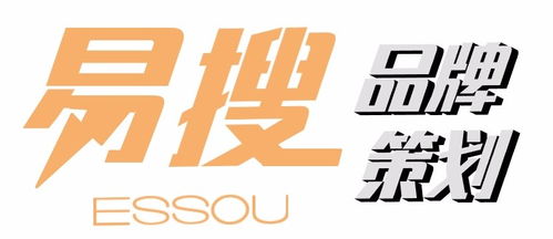 蘇州易搜 品牌策劃與網絡技術開發的一站式服務